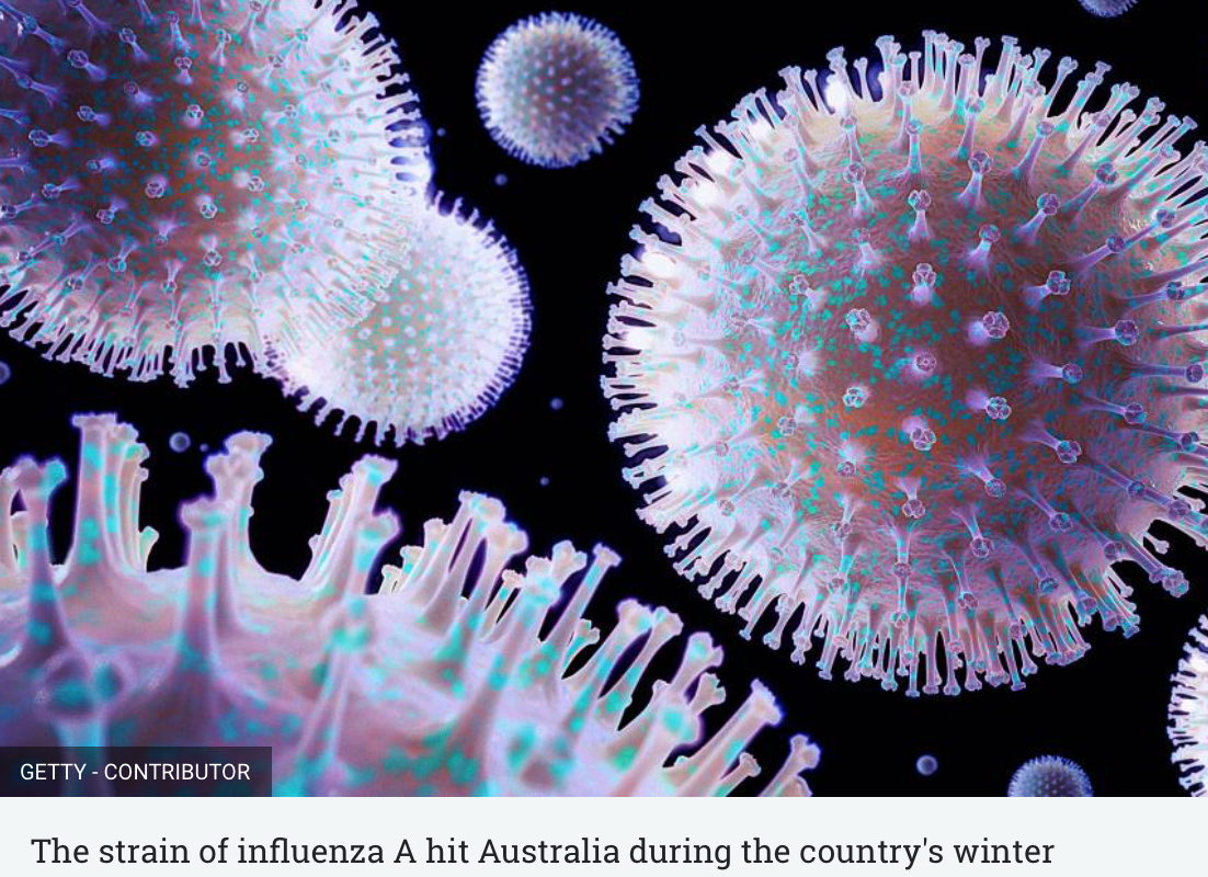 H3N2 インフルエンザの活動の増加: 知っておくべきことと防御を維持する方法